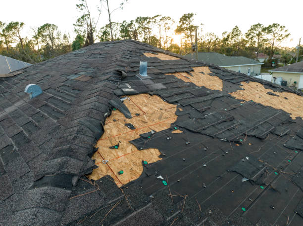 Asphalt Shingles Roofing in Dillsboro, IN