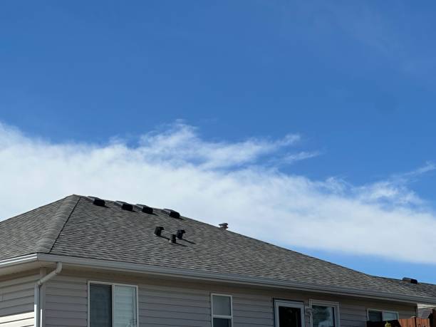 Reliable Dillsboro, IN Roofing Service Solutions